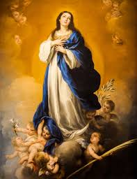Luz de Maria Reflections on the Immaculate Conception
